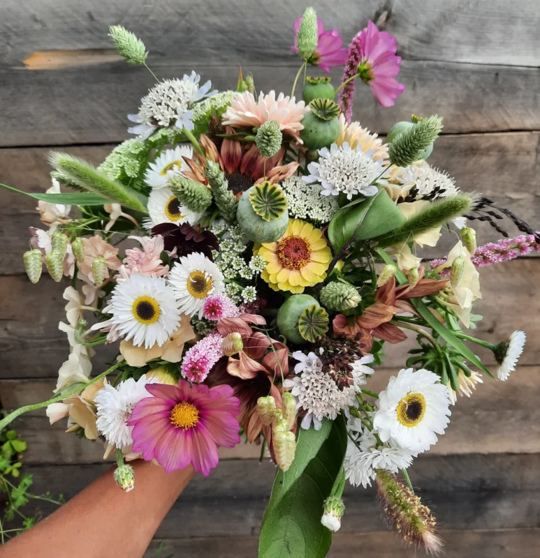 Fleurs de saison