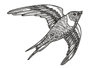 oiseau