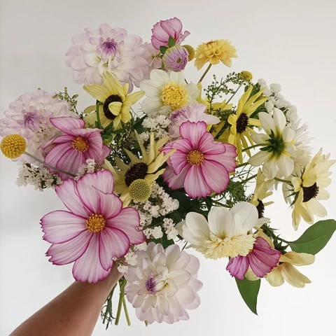 Bouquets Les fleurs d'Estelle